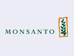 Monsanto Brasil